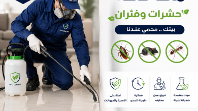 افضل شركة مكافحة حشرات وفئران