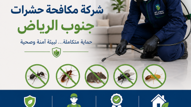 شركة مكافحة حشرات جنوب الرياض