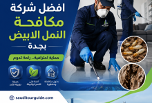 افضل شركة مكافحة النمل الابيض بجدة