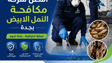 افضل شركة مكافحة النمل الابيض بجدة