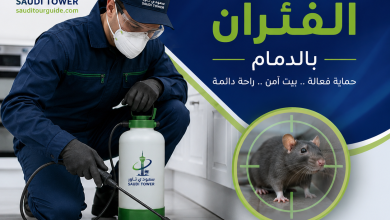 شركة مكافحة الفئران بالدمام
