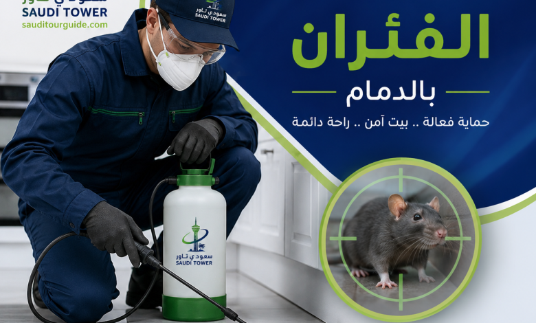 شركة مكافحة الفئران بالدمام