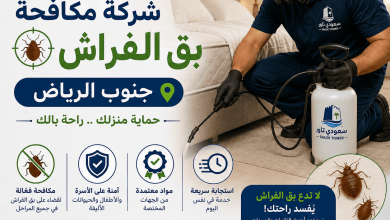 شركة مكافحة بق الفراش جنوب الرياض