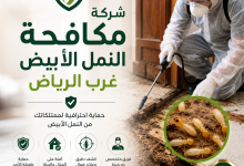 شركة مكافحة النمل الأبيض غرب الرياض