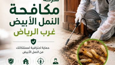 شركة مكافحة النمل الأبيض غرب الرياض
