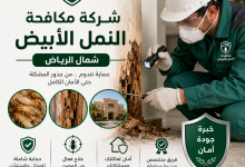 شركة مكافحة النمل الابيض شمال الرياض