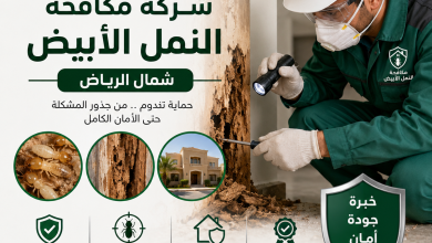 شركة مكافحة النمل الابيض شمال الرياض
