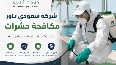 شركة مكافحة حشرات بجازان