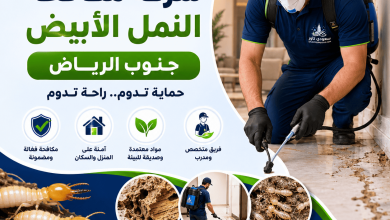 شركة مكافحة النمل الابيض جنوب الرياض