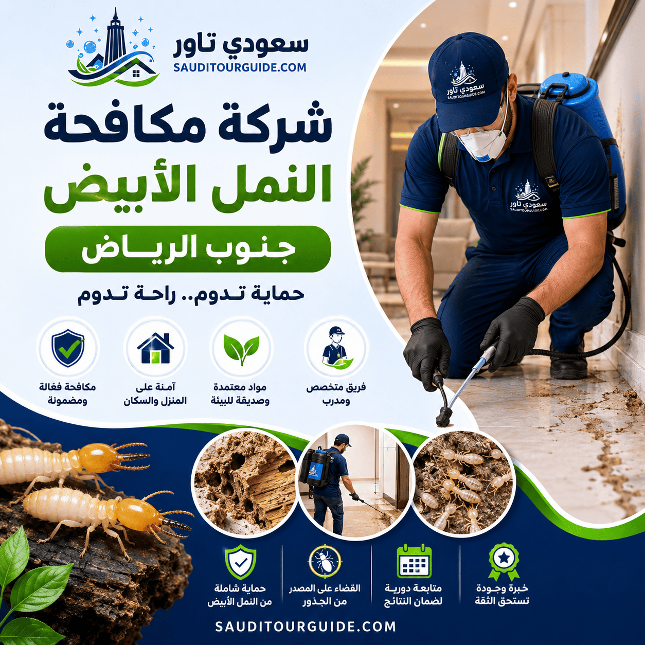 شركة مكافحة النمل الابيض جنوب الرياض