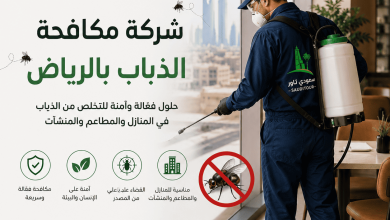 شركة مكافحة الذباب بالرياض