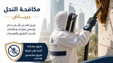 شركة مكافحة النحل بالرياض
