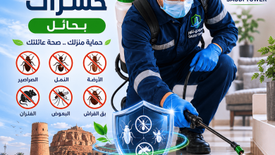 شركة مكافحة حشرات بحائل