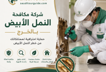 شركة مكافحة النمل الابيض بالخرج