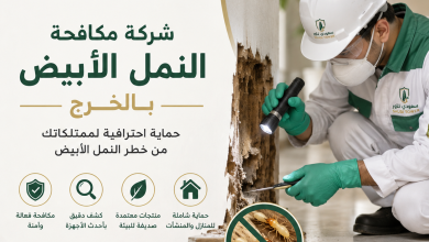 شركة مكافحة النمل الابيض بالخرج