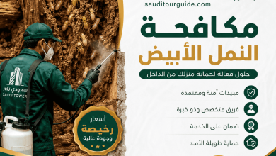 شركة مكافحة النمل الابيض رخيصة بالرياض
