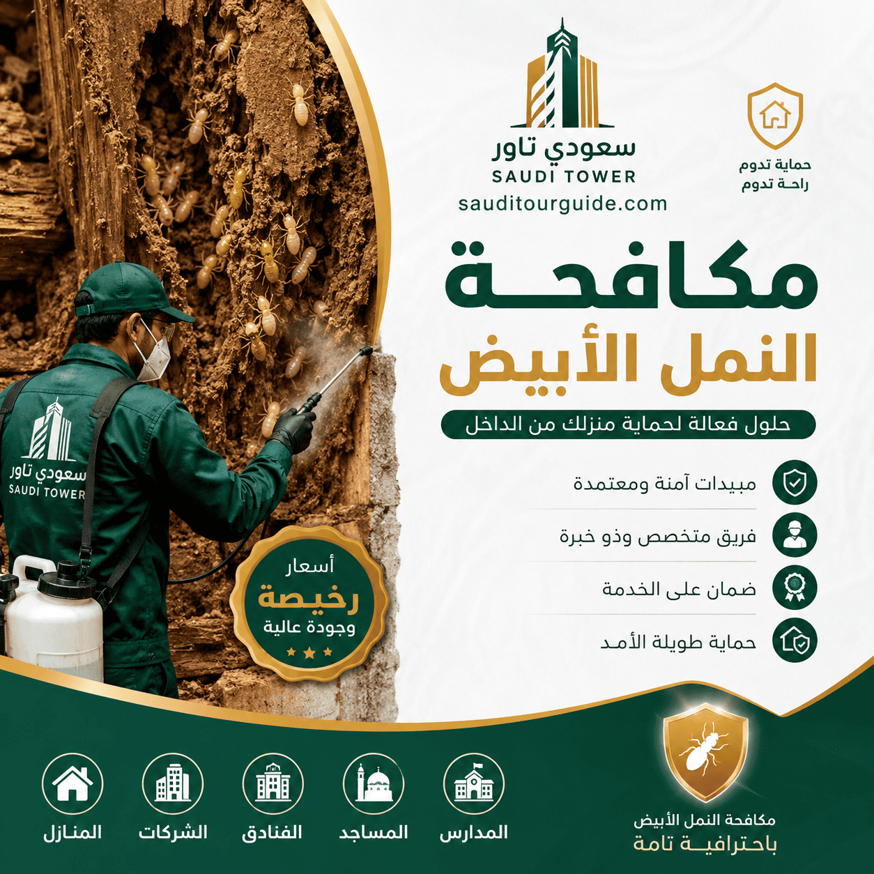 شركة مكافحة النمل الابيض رخيصة بالرياض