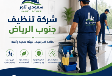 شركة تنظيف جنوب الرياض