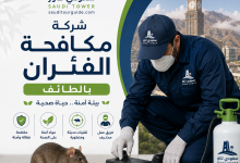 شركة مكافحة الفئران بالطائف