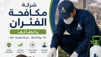 شركة مكافحة الفئران بالطائف