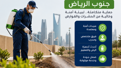 شركة رش الدفان جنوب الرياض