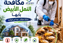 شركة مكافحة النمل الابيض بأبها