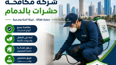 شركة مكافحة حشرات بالدمام