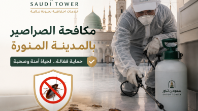 شركة مكافحة الصراصير بالمدينة المنورة