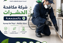 شركة مكافحة حشرات بالمجمعة