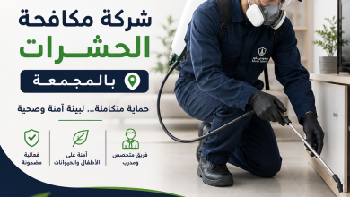 شركة مكافحة حشرات بالمجمعة