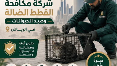 شركة مكافحة القطط الضالة بالرياض