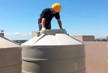 ديدان خزان الماء