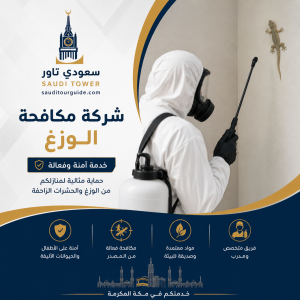شركة مكافحة الوزغ بمكة