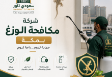 شركة مكافحة الوزغ بمكة