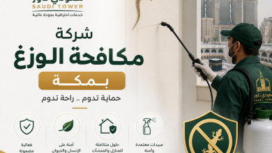 شركة مكافحة الوزغ بمكة