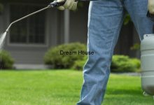 شركة تنظيف حدائق بالرياض