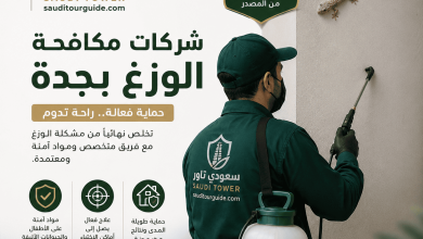 شركات مكافحة الوزغ بجدة