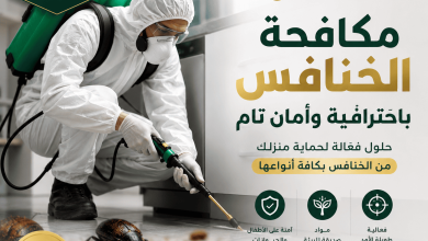 شركة مكافحة الخنافس بالرياض