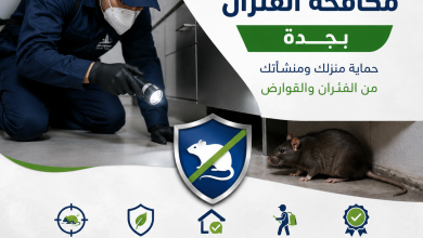 شركة مكافحة الفئران بجدة