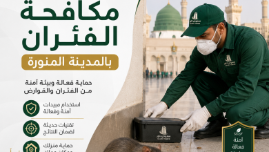 شركة مكافحة الفئران بالمدينة المنورة