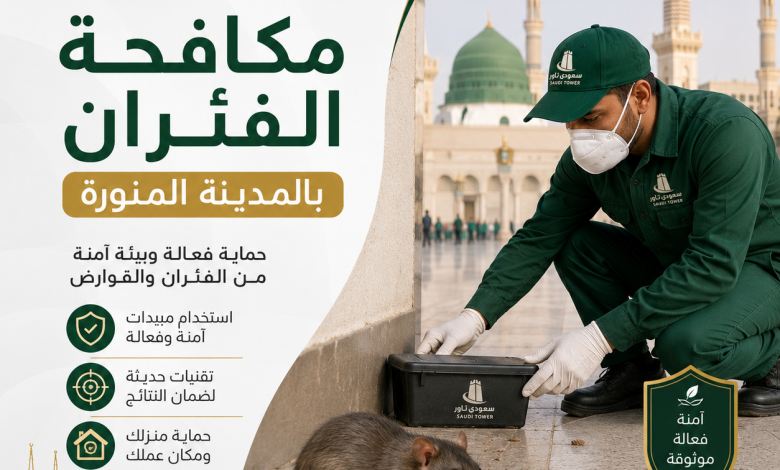 شركة مكافحة الفئران بالمدينة المنورة