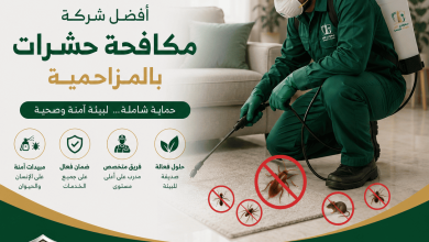 شركة مكافحة حشرات بالمزاحمية