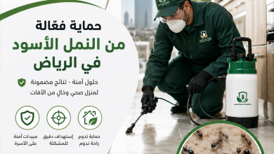شركة مكافحة النمل الاسود بالرياض