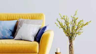 Sofa cleaning companies in Riyadh