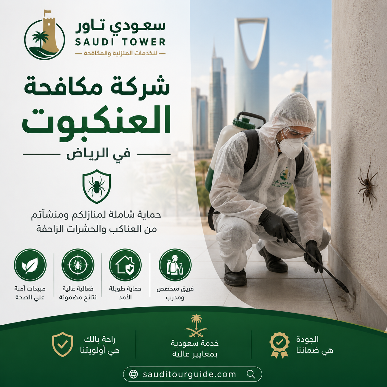 شركة مكافحة العنكبوت بالرياض