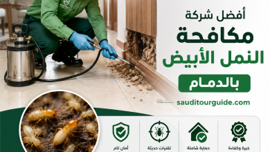 شركة مكافحة النمل الابيض بالدمام
