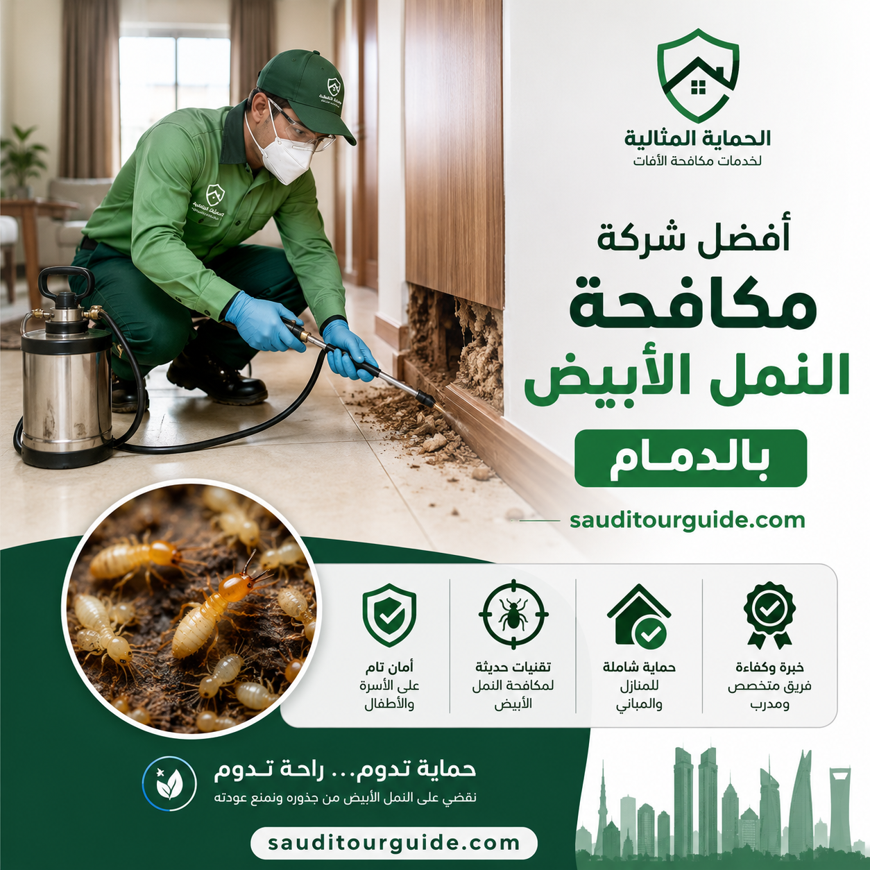 شركة مكافحة النمل الابيض بالدمام