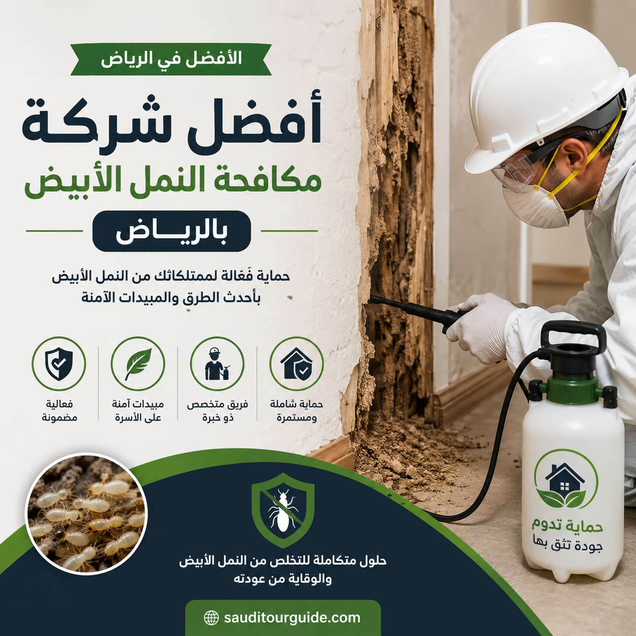 شركة مكافحة النمل الابيض بالرياض